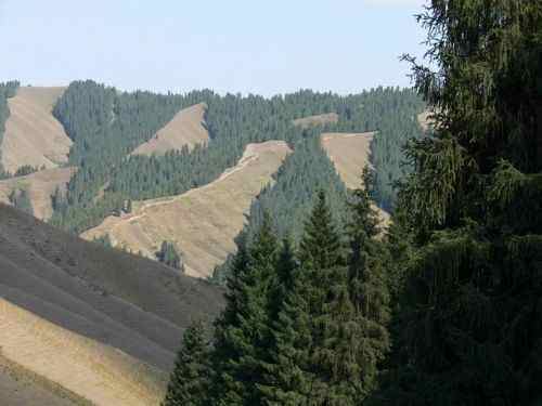 新疆 - 南山牧场,图八