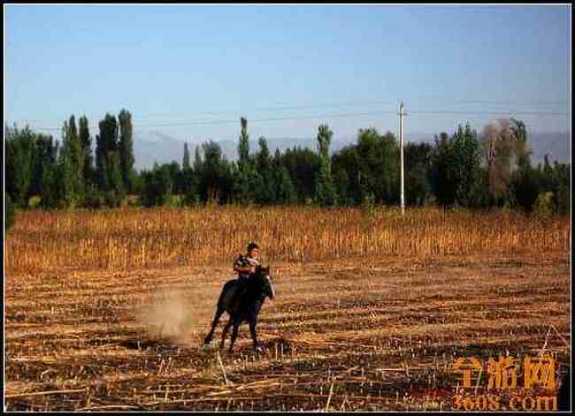 新疆北疆风光,图