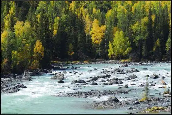 喀纳斯风光组图