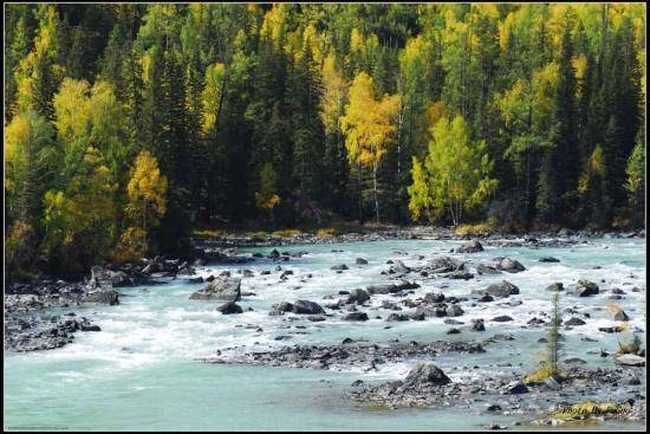 喀纳斯风光组图,图二十