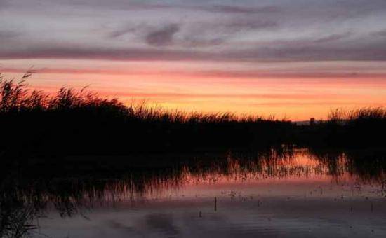 哈巴河：血色残阳 湿地夕照,图十一