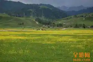 我的家乡新源