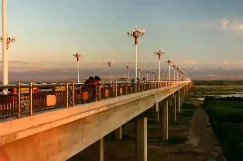 新疆伊犁河二桥雄姿