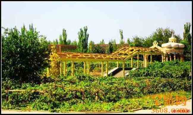 苏公塔与郡王府,图四