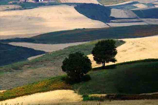 新疆奇台刀条岭风光,图九