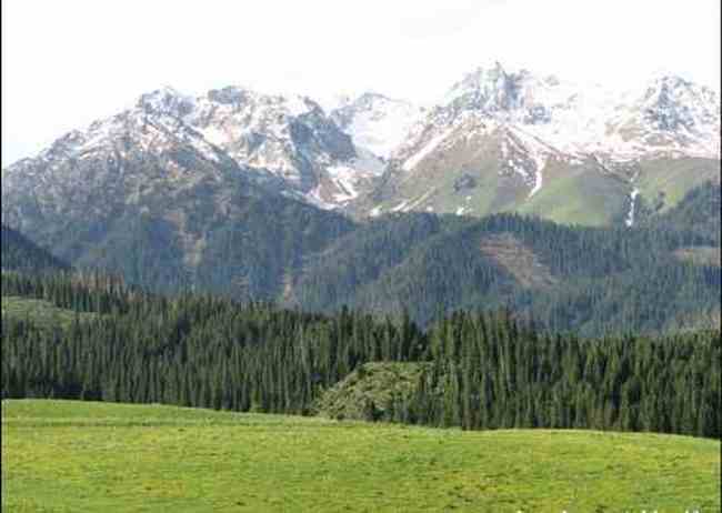 新疆恰西河谷风光,图六