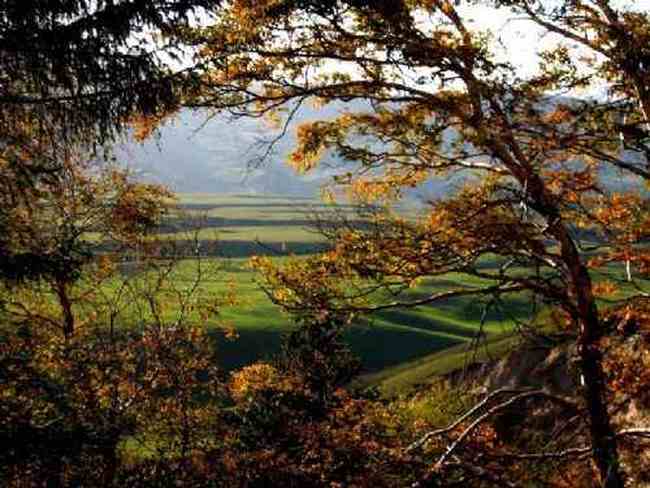 新疆恰西河谷风光,图二