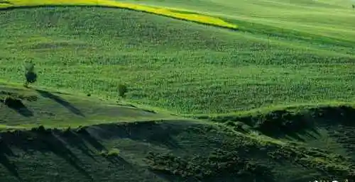 新疆布拉克风光