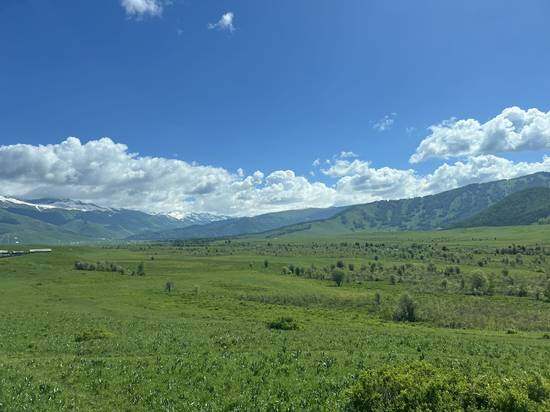 六月禾木村景色