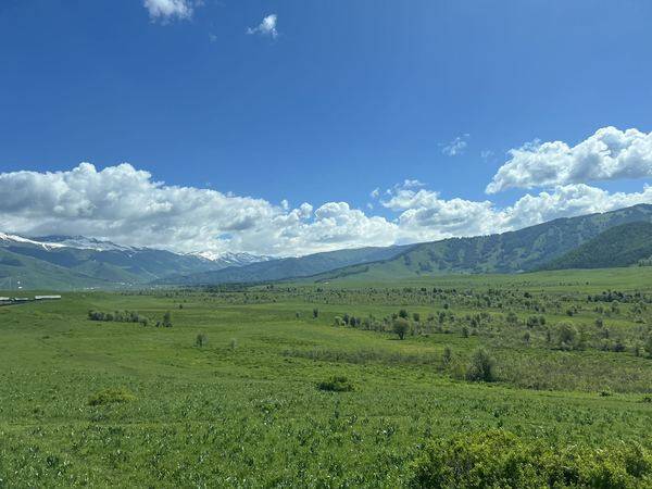 六月禾木村景色