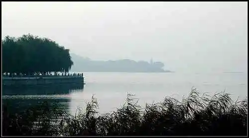 新疆 - 塔里木河