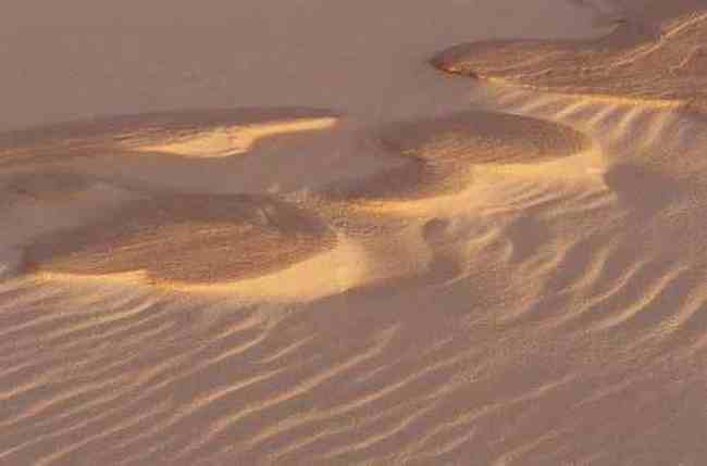 古尔班通古特沙漠,图五