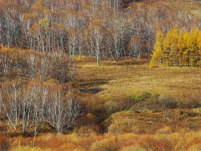 新疆草原（上）,图三