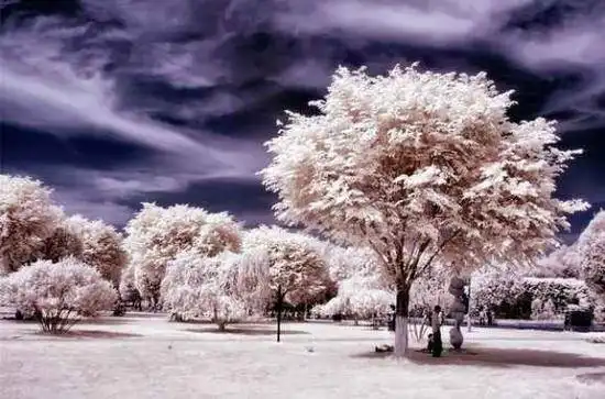 美丽的乌鲁木齐