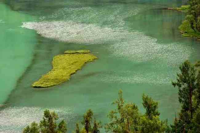 新疆喀纳斯风光,图十二