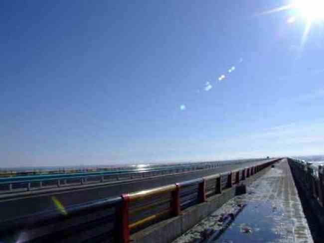 新疆伊犁河二桥雄姿,图四