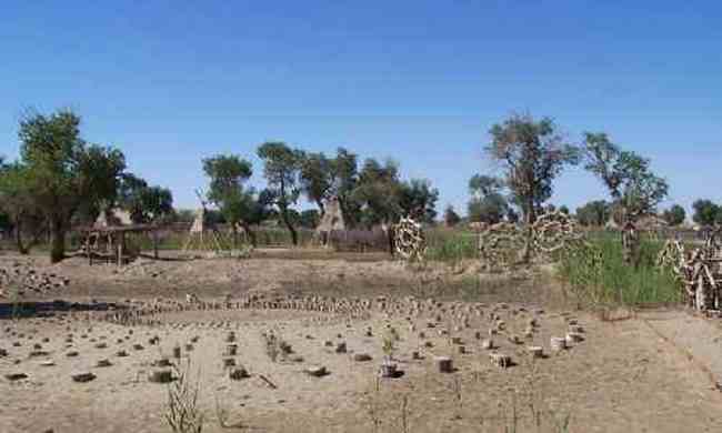 新疆--罗布泊村寨风光,图二