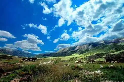 新疆三屯河景区