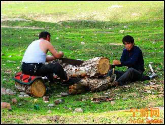 新疆库尔德宁,图四