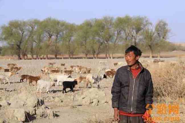 新疆自驾之旅（五）,图十三