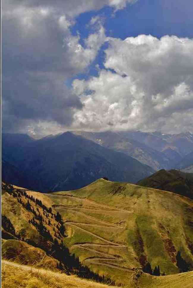 新疆夏爾希里自然保護區(qū),圖三