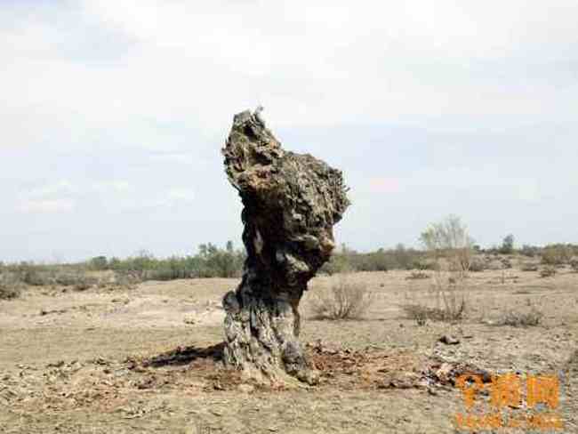 甘家湖神韵,图二十