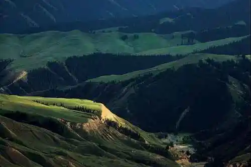 新疆索尔巴斯陶风光