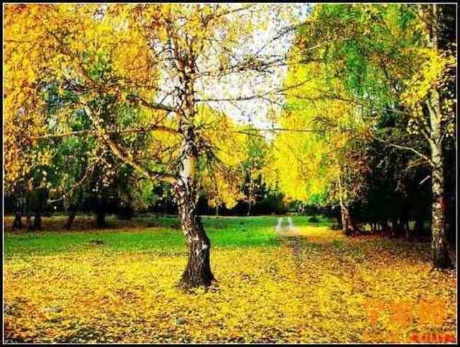 南山风景区,图六