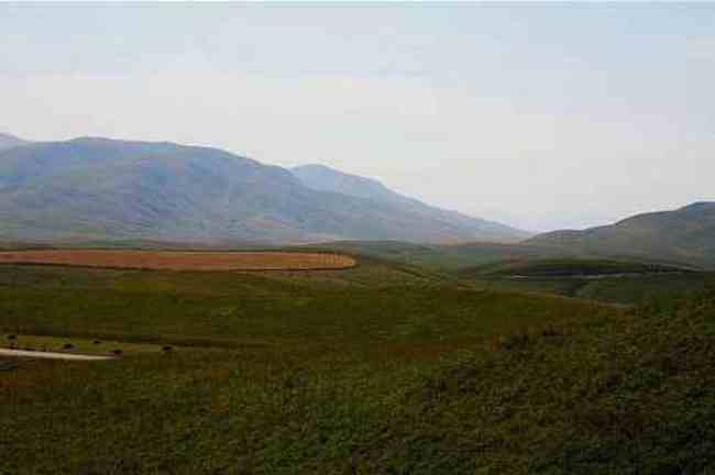 新疆唐布拉风光,图三