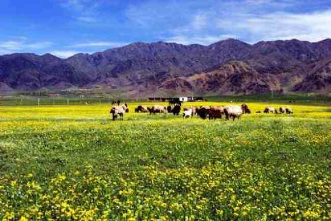 新疆新源风光,图十