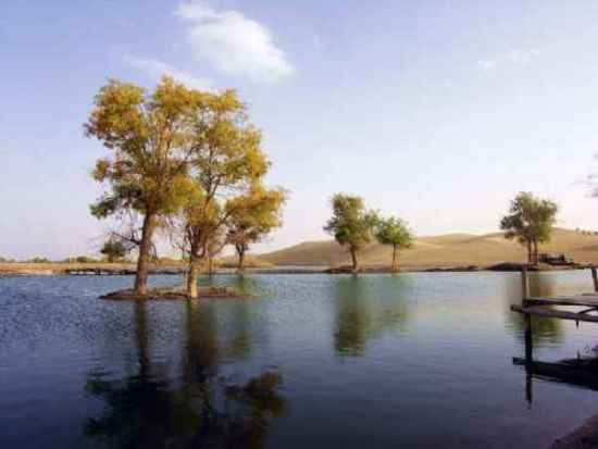 新疆 - 塔里木河,图五