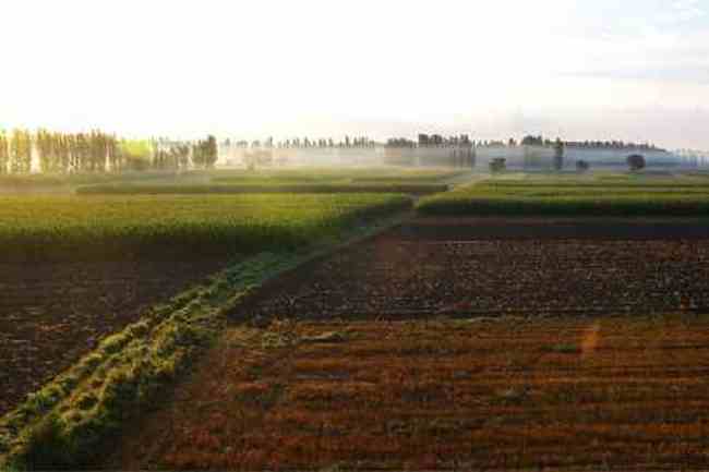 新疆佳信莊園晨曦,圖五