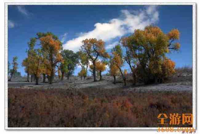 新疆风光,图十四