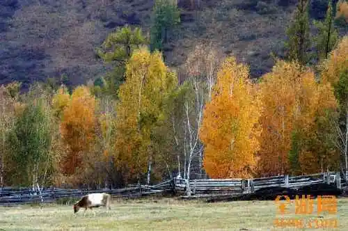 世外桃源白哈巴