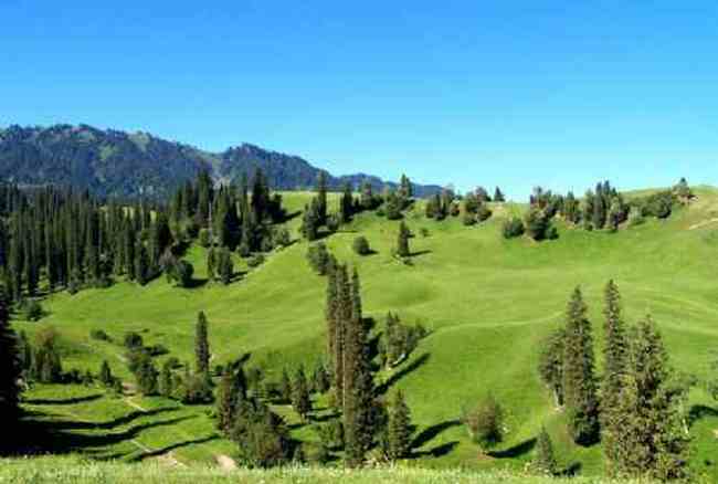 新疆---伊犁那拉提大草原,图三