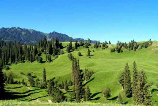 新疆---伊犁那拉提大草原,图三