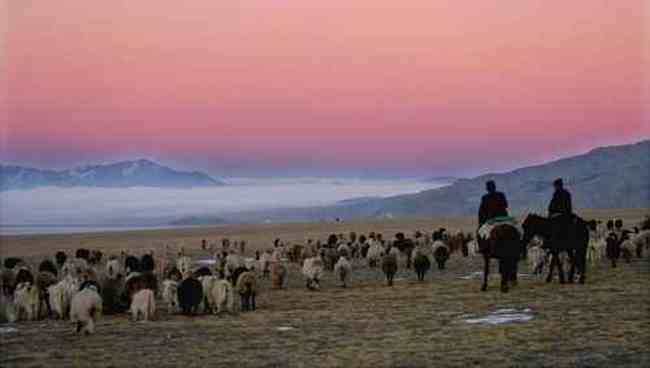 新疆霍城风光,图四
