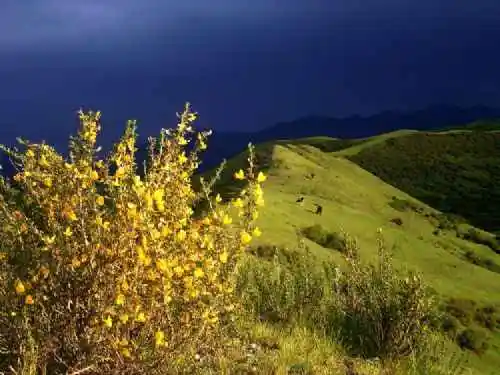 新疆乌鲁木齐甘沟乡风光