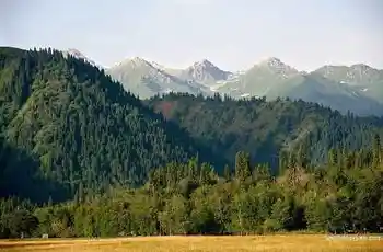 新疆库尔德宁风光,图一