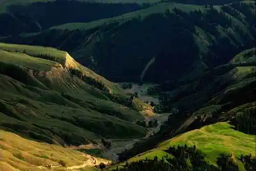 新疆索尔巴斯陶风光