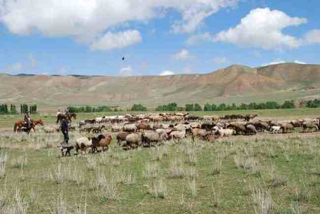 新疆库尔德宁风光,图十二