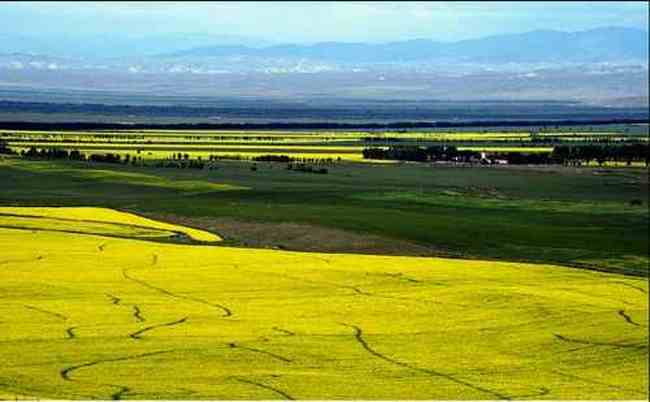 新疆昭苏行,图一