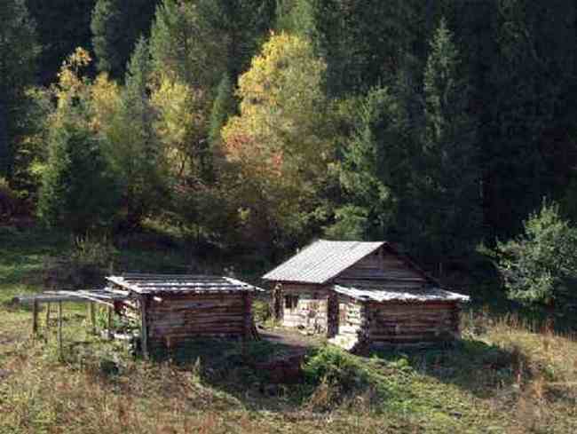 新疆大莫乎尔转场,图十四