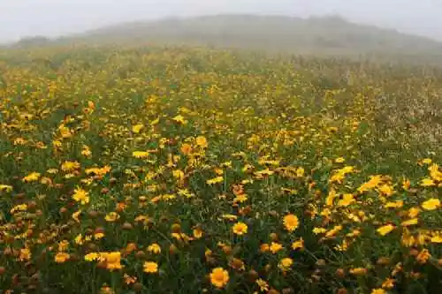 新疆半截沟风光