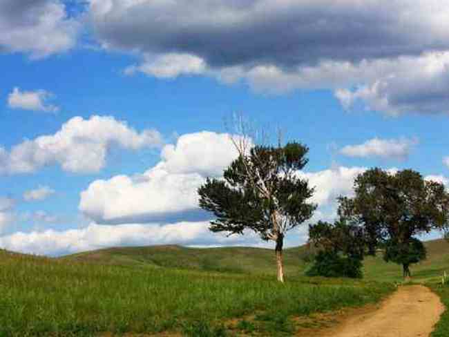 新疆草原（上）,图七