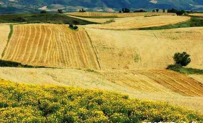 新疆江不拉克風光,圖六