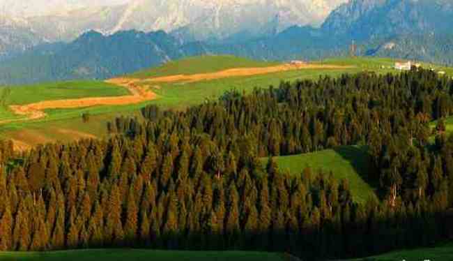 新疆布拉克风光,图二