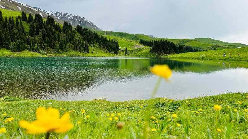 新疆唐布拉仙女湖