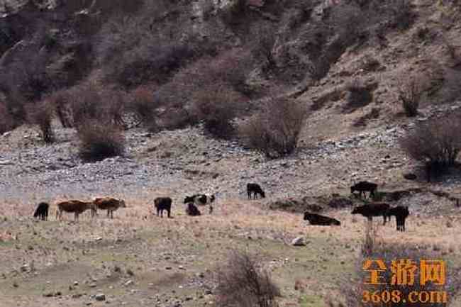 新疆自駕之旅,圖三