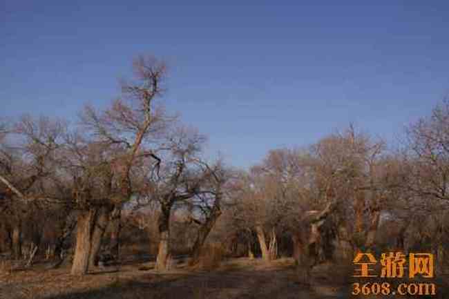 新疆自驾之旅（五）,图二十五